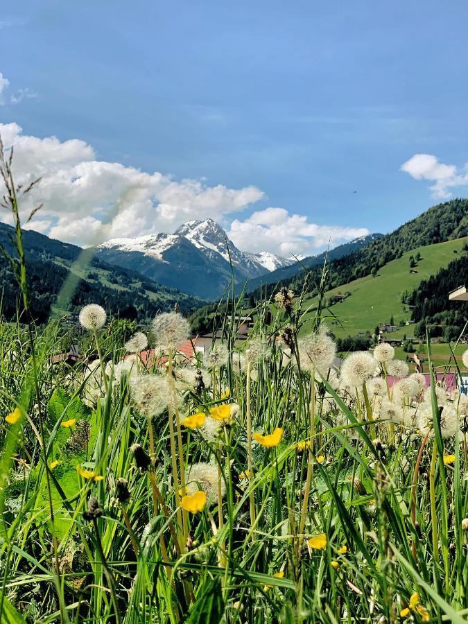 Hotel Garni Wieshof Kirchberg in Tirol Eksteriør bilde
